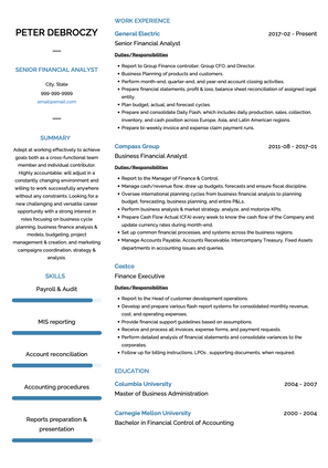 Senior Financial Analyst CV Example and Template