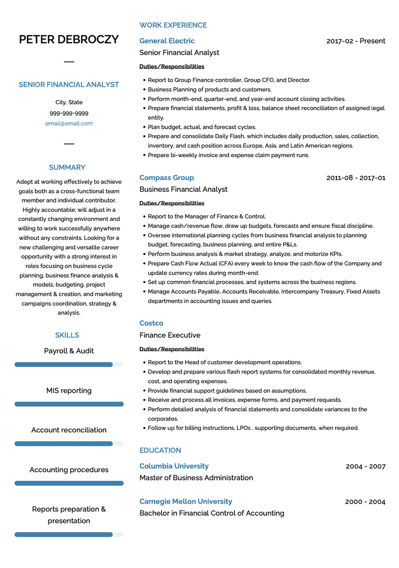 Senior Financial Analyst CV Example and Template