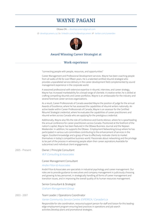 Owner / Principle Consultant Resume Sample and Template