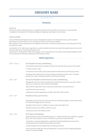 Vice President Of Sales And Marketing Resume Sample and Template
