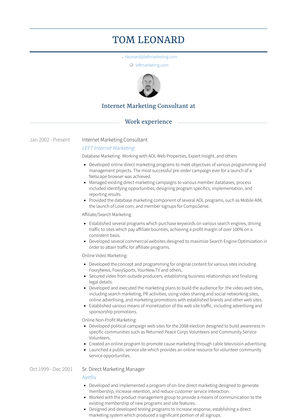 Internet Marketing Consultant Resume Sample and Template