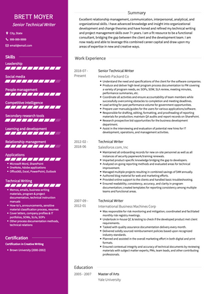 Technical Writer CV Example and Template