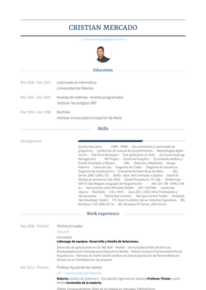Technical Leader Resume Sample and Template