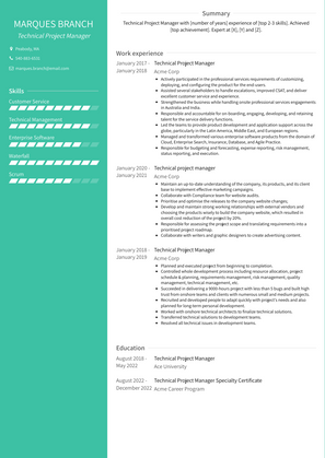 Technical Project Manager Resume Sample and Template