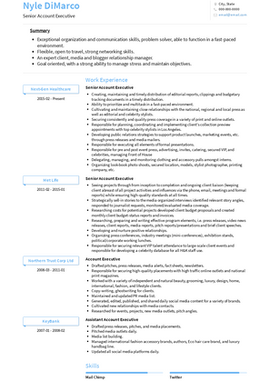 Senior Account Executive Resume Sample and Template