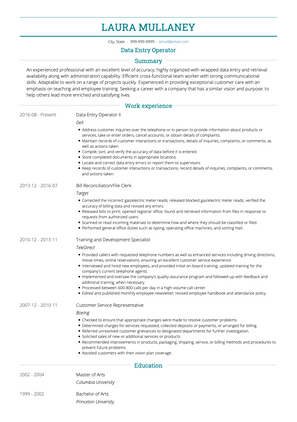 Data Entry Operator CV Example and Template