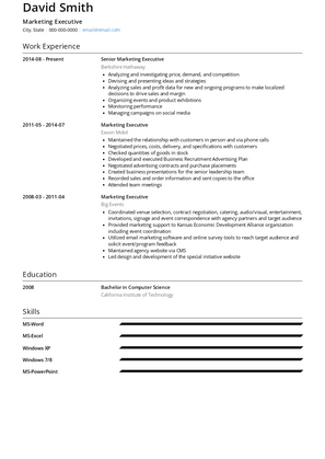 Marketing Executive Resume Sample and Template
