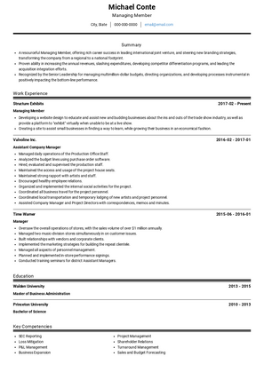 Managing Member Resume Sample and Template