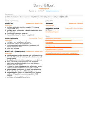 Module Lead Resume Sample and Template