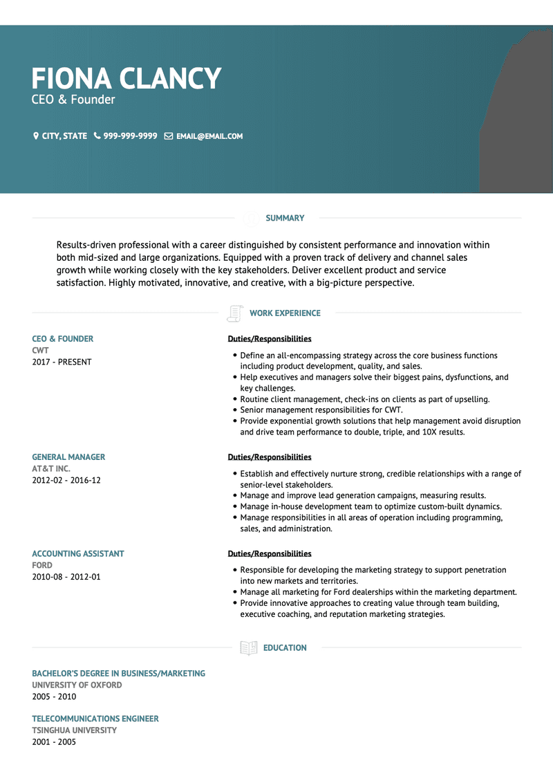 CEO & Founder CV Example and Template