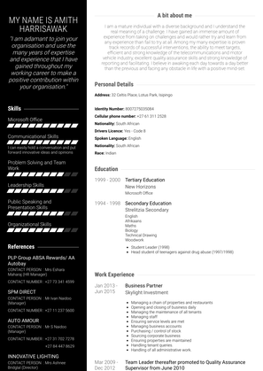 Business Partner Resume Sample and Template