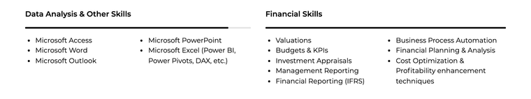 Finance CV skills