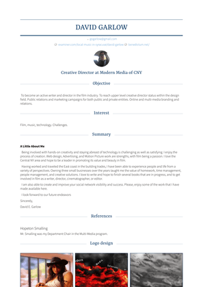 Driver/Merchandiser Resume Sample and Template