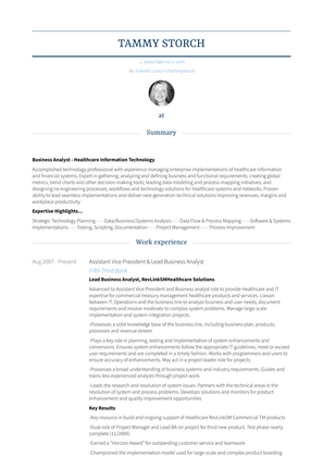 Assistant Vice President & Lead Business Analyst Resume Sample and Template