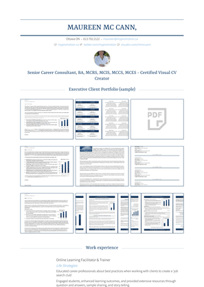 Online Learning Facilitator & Trainer Resume Sample and Template