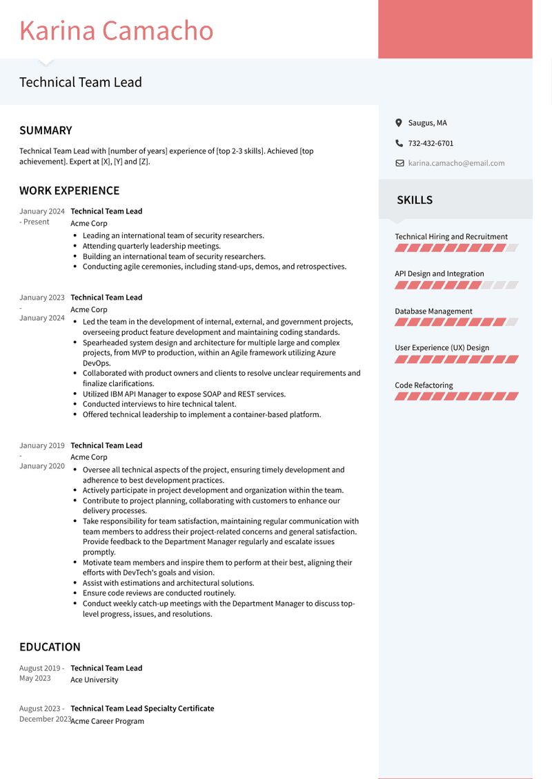 Technical Team Lead Resume Sample and Template