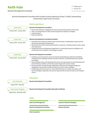 Business Development Consultant Resume Sample and Template
