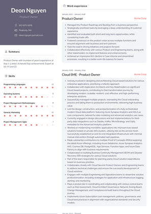 Product Owner Resume Sample and Template