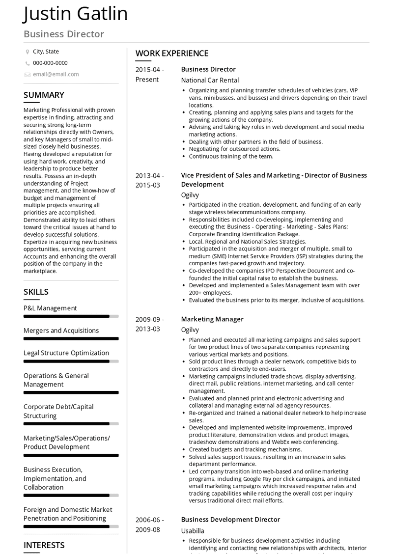 Business Director Resume Sample and Template