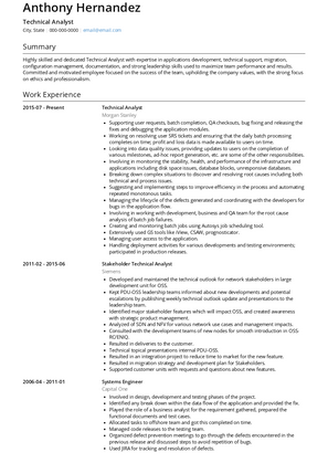 Technical Analyst Resume Sample and Template