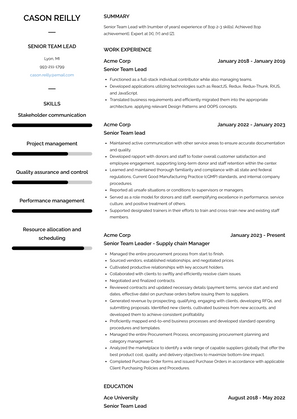 Senior Team Lead Resume Sample and Template