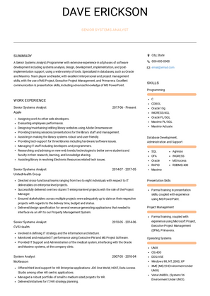 Senior Systems Analyst Resume Sample and Template