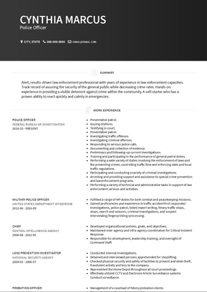 Police Officer Resume Sample and Template