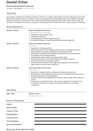 Business Development Executive Resume Sample and Template