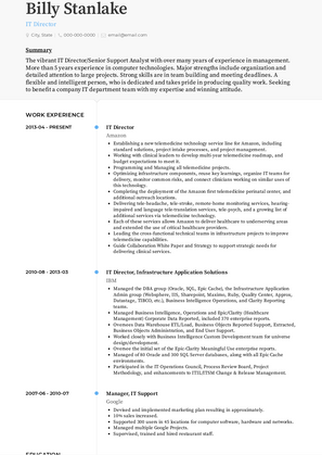 Business Unit Director Resume Sample and Template