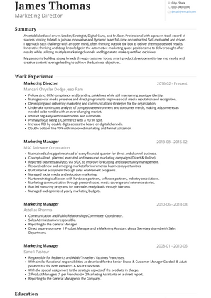 Marketing Director Resume Sample and Template