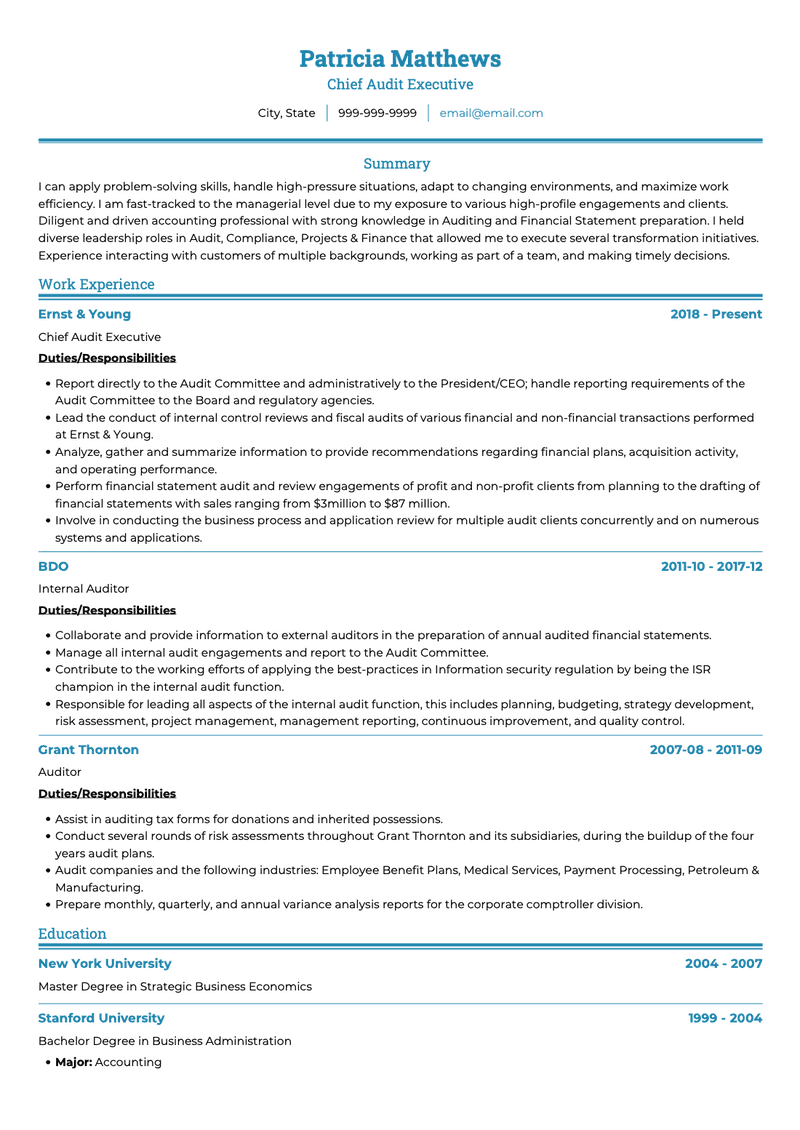 Auditor CV Example and Template