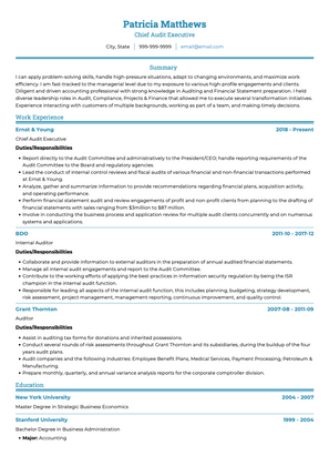Auditor CV Example and Template