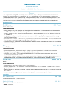 Auditor Resume Sample and Template