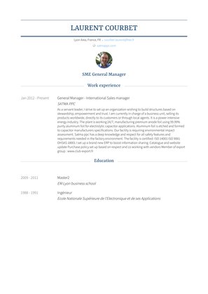 General Manager   International Sales Manager Resume Sample and Template