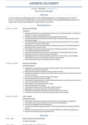 Key Account Manager Resume Sample and Template