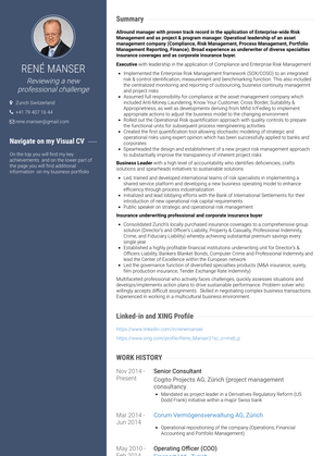 Senior Consultant Resume Sample and Template