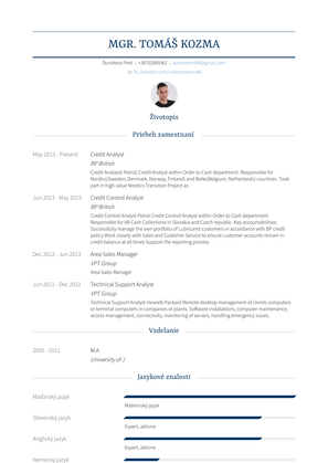 Credit Analyst Resume Sample and Template