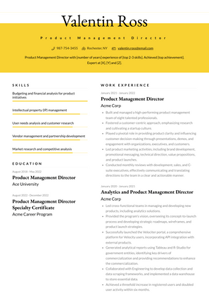 Product Management Director Resume Sample and Template
