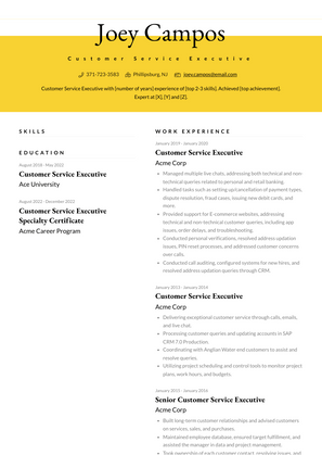 Customer Service Executive Resume Sample and Template