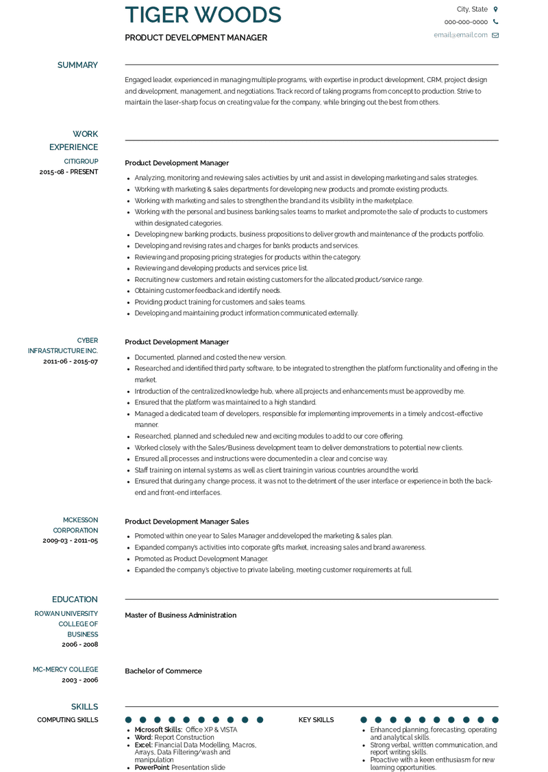 new product development project manager resume