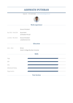 Account Assistant Resume Sample and Template