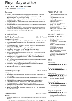 Sr. IT Project/Program Manager Resume Sample and Template
