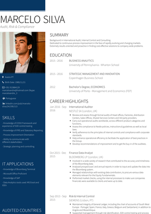 Internal Auditor Resume Sample and Template