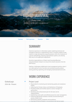 Project Lead Resume Sample and Template