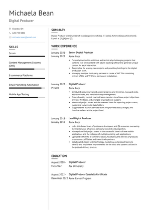 Digital Producer Resume Sample and Template