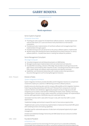 Senior Systems Engineer Resume Sample and Template