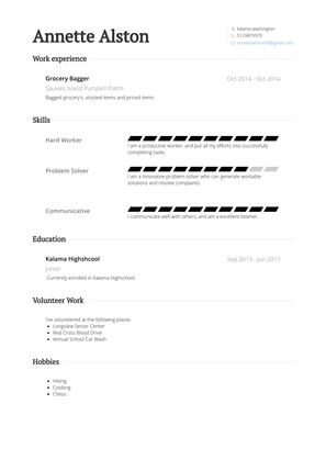 Grocery Bagger  Resume Sample and Template