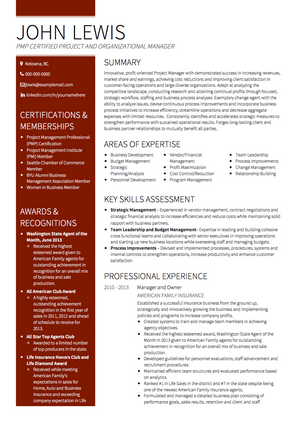 Senior Project Manager CV Example and Template