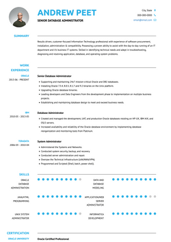 Basic CV Template and Example - Arya by VisualCV	