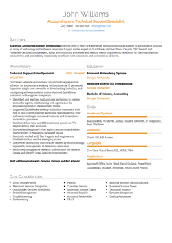 Informationstechnologie Resume Sample and Template